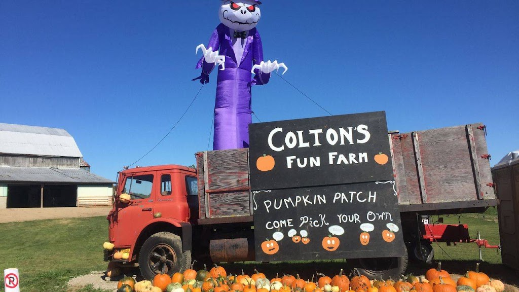 Coltons Fun Farm | 109 Jerseyville Rd, Brantford, ON N3T 5M1, Canada | Phone: (519) 209-7654