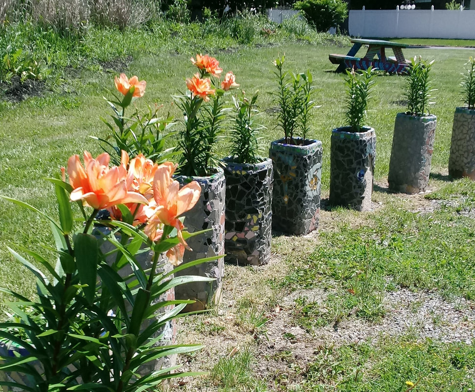 Futures Community Garden | 155 Orange St, Buffalo, NY 14204, USA | Phone: (716) 783-9653