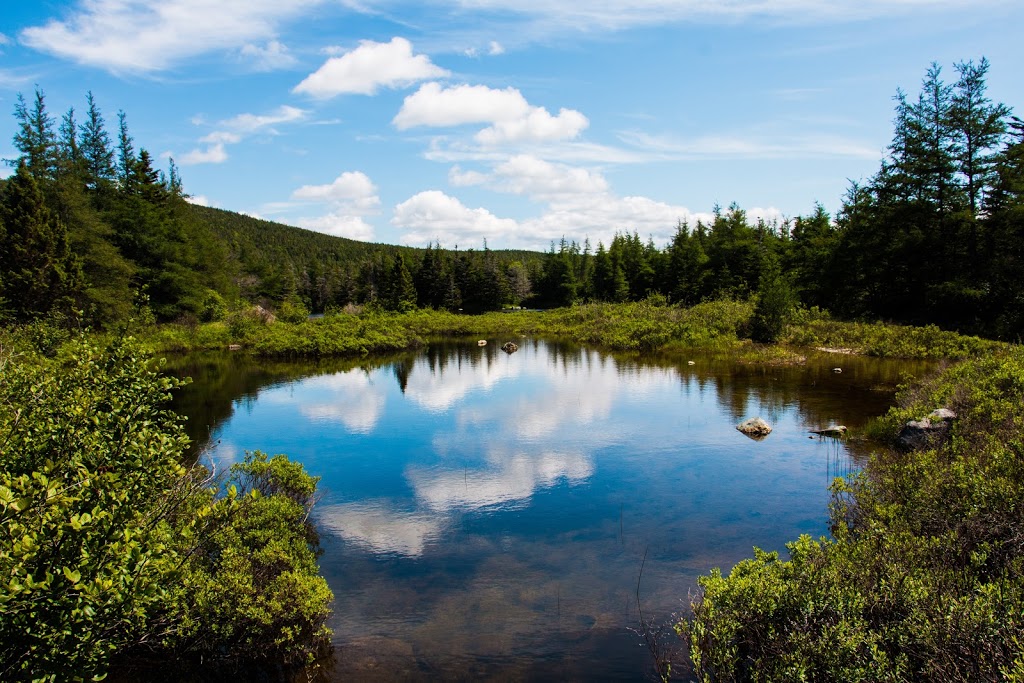 Mizzen Pond Trail | Hearts Content, NL A0B 3M0, Canada