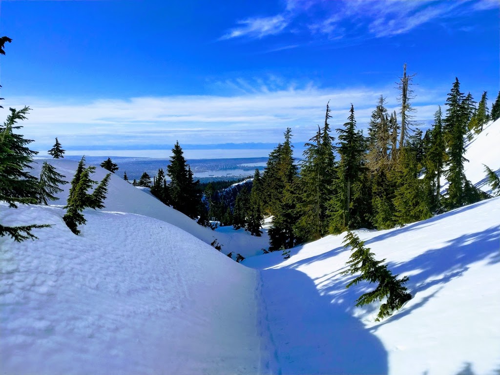 Mount Seymour Trail | Mount Seymour Trail, North Vancouver, BC V7G 1L3, Canada