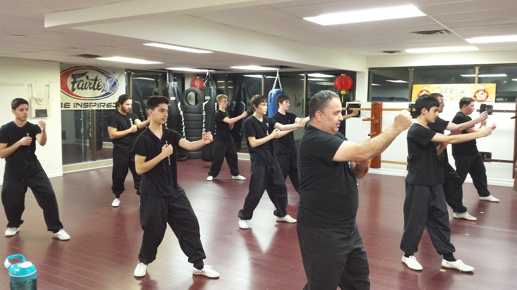 UFA Ving Tsun Martial Arts | 1050 Paramount Dr, Stoney Creek, ON L8J 1P8, Canada | Phone: (905) 296-5674