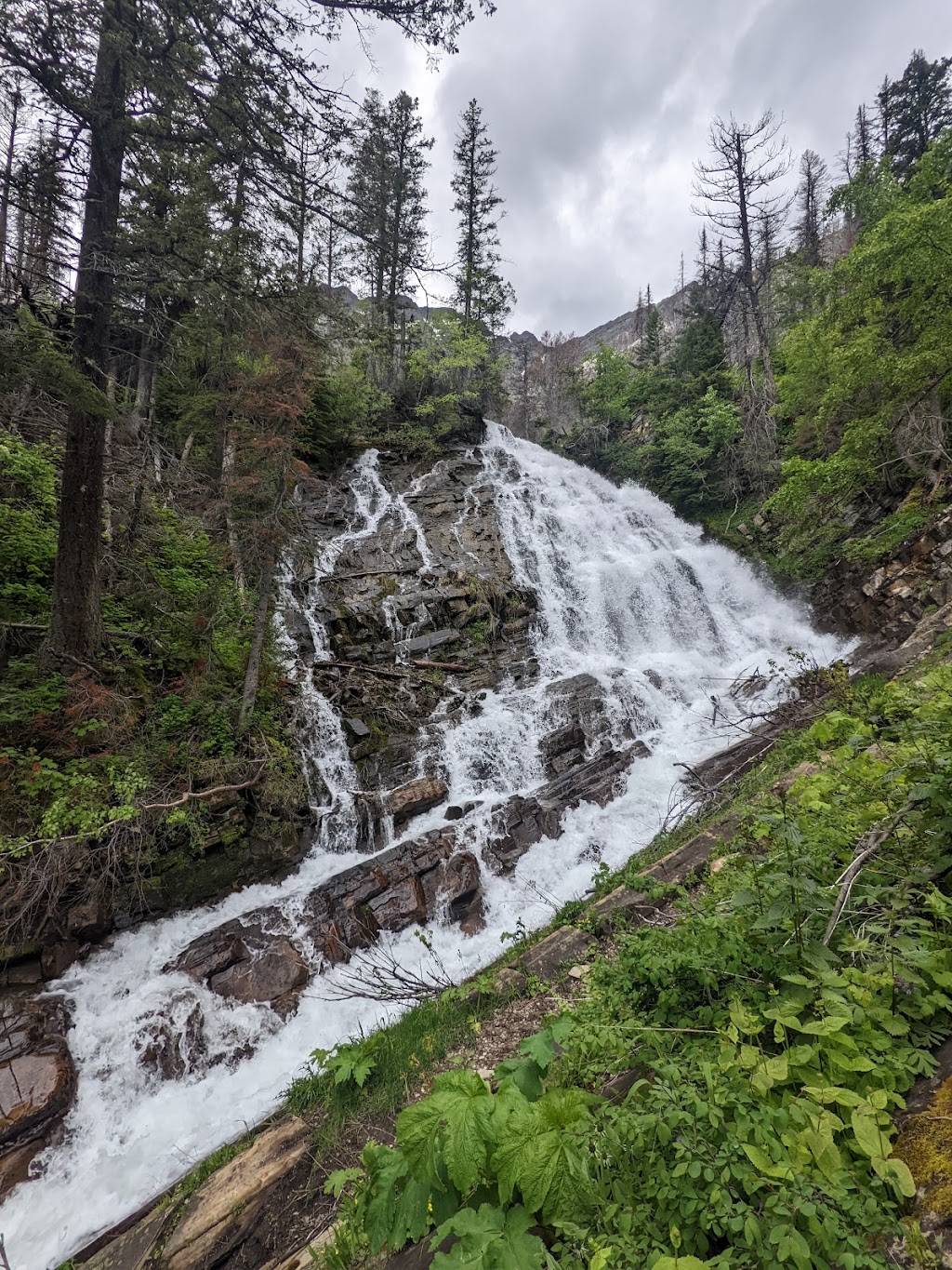 Bertha Trailhead | Waterton Park, AB T0K 2M0, Canada | Phone: (403) 859-5133