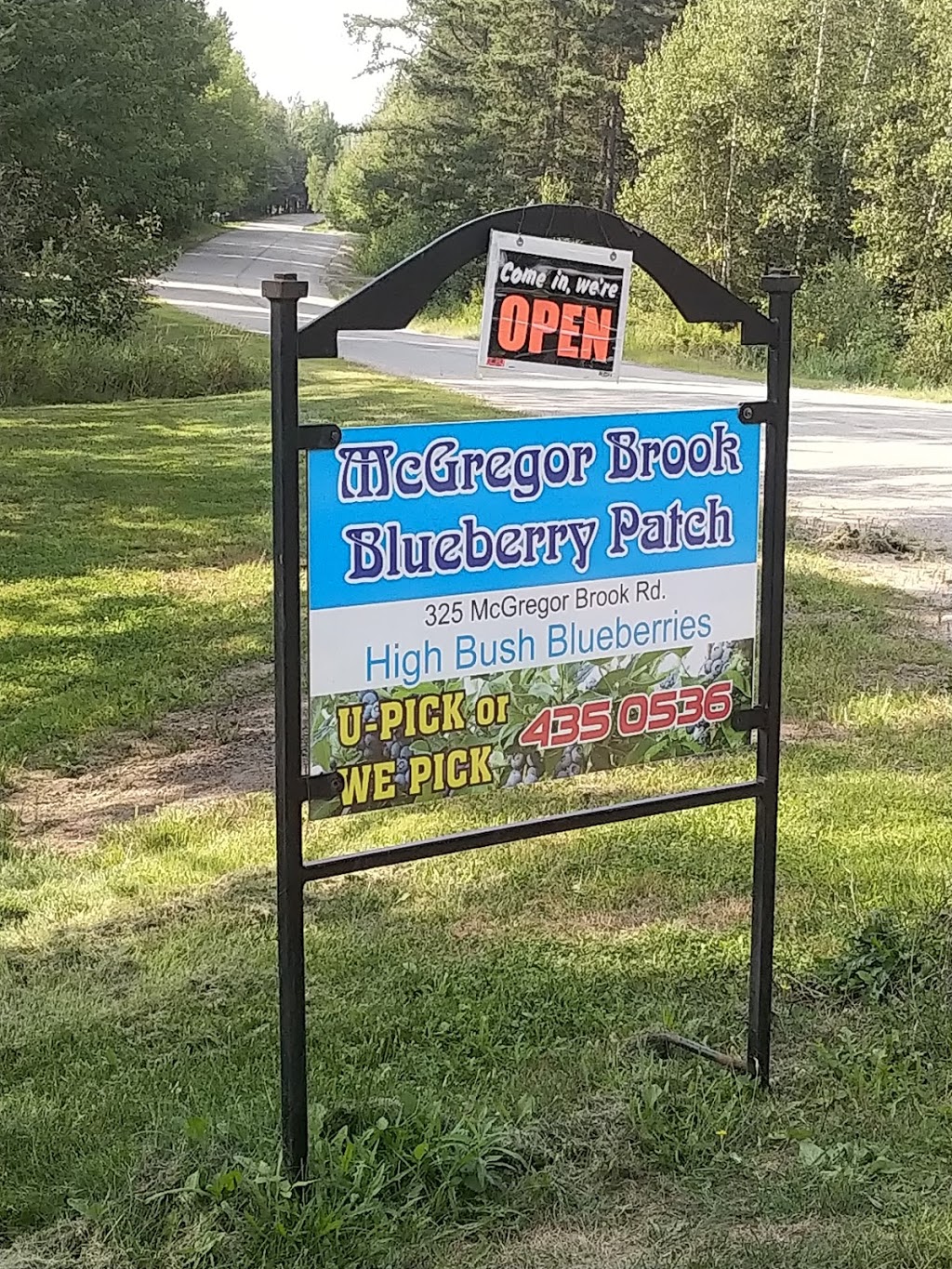 McGregor Brook Blueberries Upick | 325 McGregor Brook Rd, Mount Hebron, NB E4G 1H1, Canada | Phone: (506) 435-0536