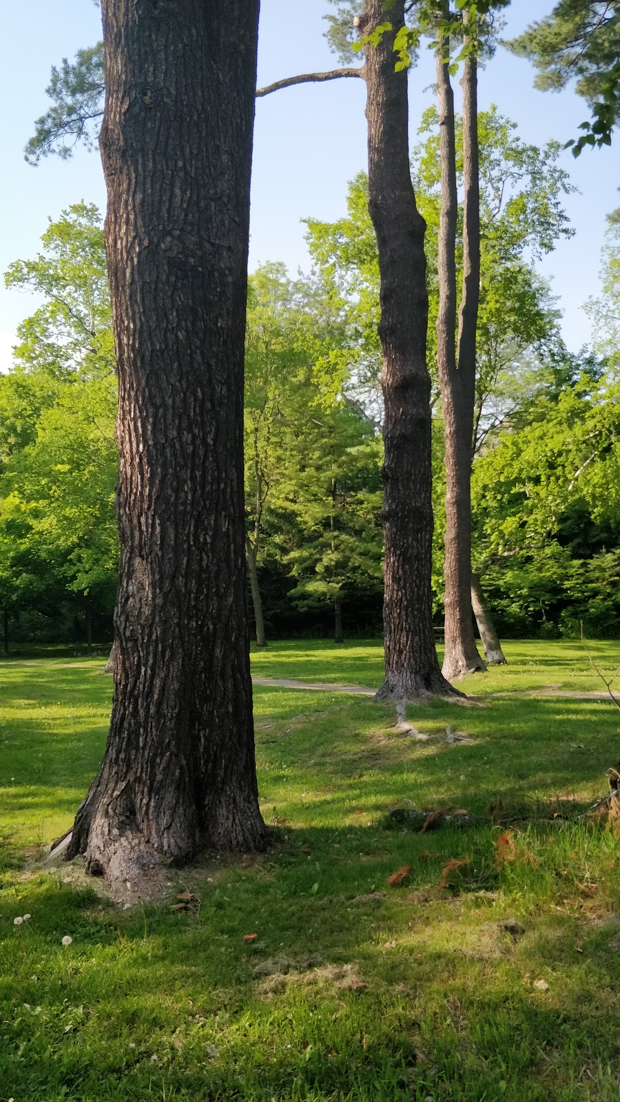 Sherwood park trail | Unnamed Road, Toronto, ON M4P 2B8, Canada