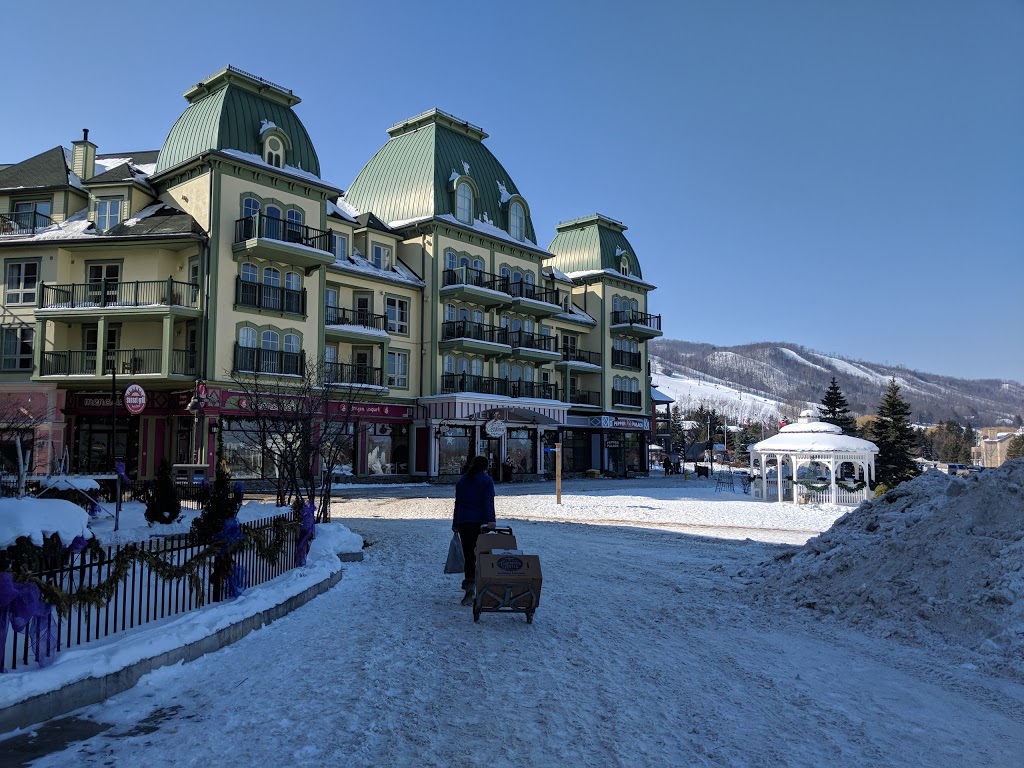 Blue Mountain Resort | 190 Gord Canning Dr, The Blue Mountains, ON L9Y 1C2, Canada | Phone: (833) 583-2583