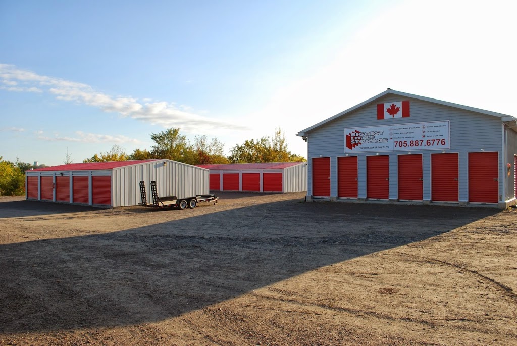 Biggest Little Storage | 548 County Road 121, Fenelon Falls, ON K0M 1N0, Canada | Phone: (705) 887-6776