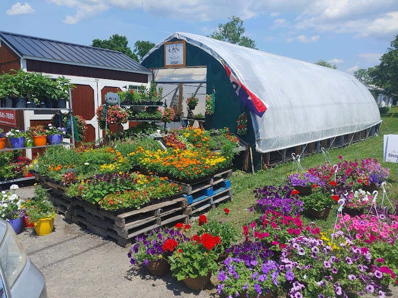 Sheilas Greenhouse | 945 Moscow Rd, Yarker, ON K0K 3N0, Canada | Phone: (613) 217-8067