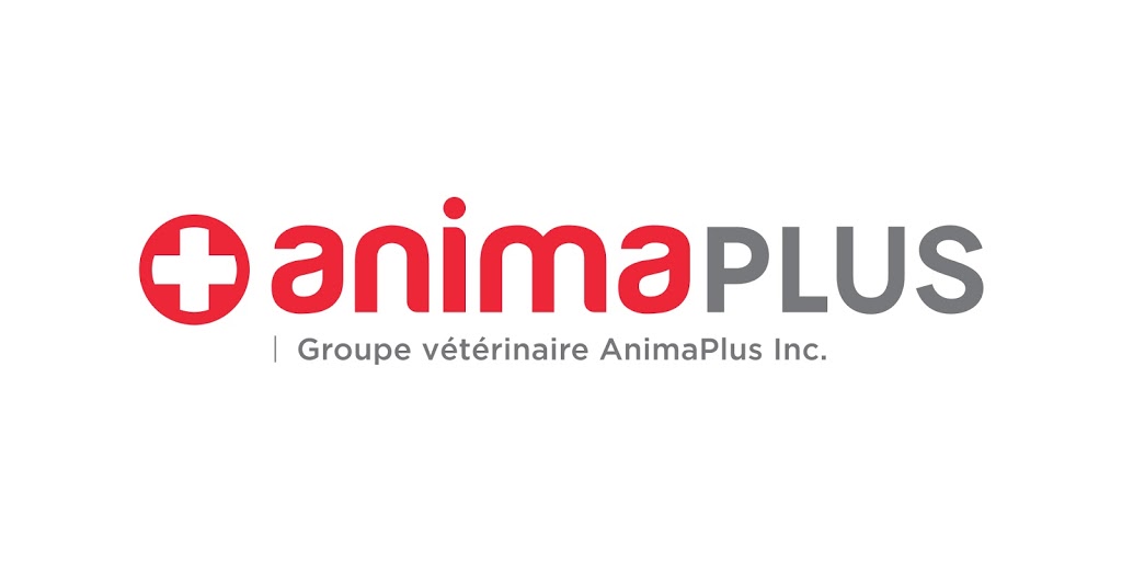 Clinique Vétérinaire AnimaPlus de la Capitale | 195 Rue des Pins O, Québec, QC G1L 1K1, Canada | Phone: (418) 627-5770