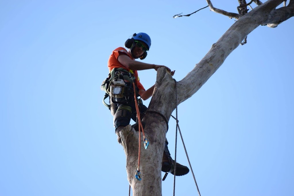 Wight Tree Service Inc | 52 Bethel Sideroad, Keswick, ON L0E 1R0, Canada | Phone: (289) 231-9274