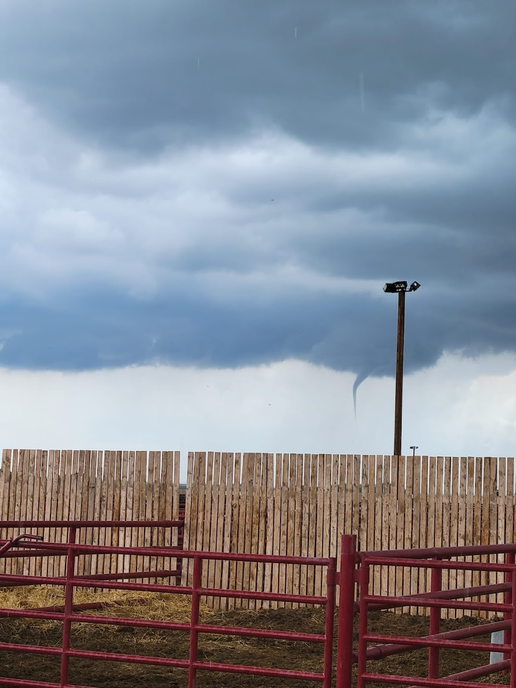 Serfas Farms Enchant Feed Yard | corner range road 181 and, Township Rd 150, Enchant, AB T0K 0V0, Canada | Phone: (825) 609-4110