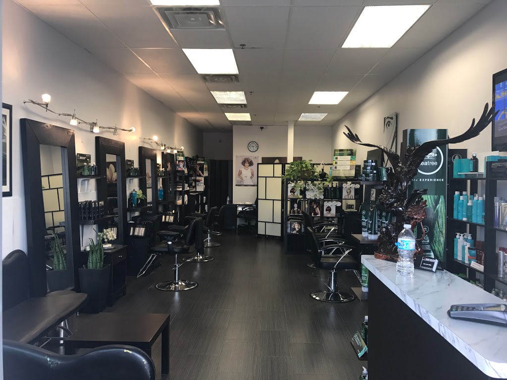 D Hair Salon | 305 Barrie St Unit 5 A, PO Box 1282, Bradford, ON L3Z 2B6, Canada | Phone: (905) 551-7777