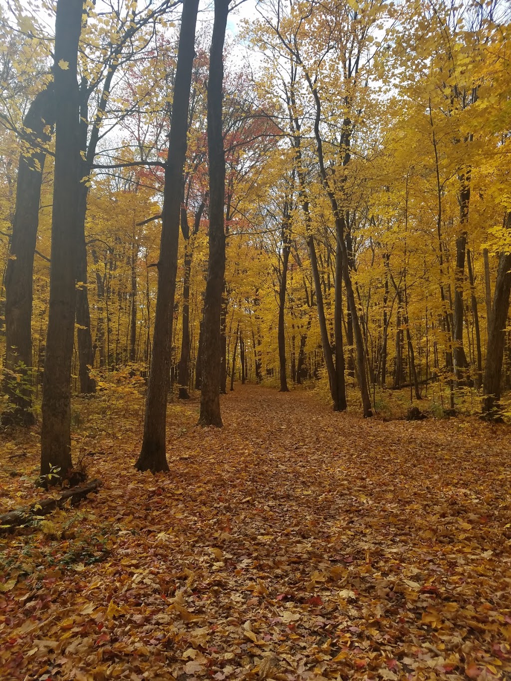 Parc de la rivière | LAncienne-Lorette, QC G2E, Canada | Phone: (418) 872-9811