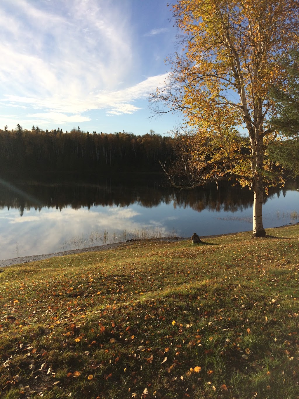 Happy Holiday Campground and Cottages | 7727 ON-11, Temagami, ON P0H 2H0, Canada | Phone: (705) 569-3540