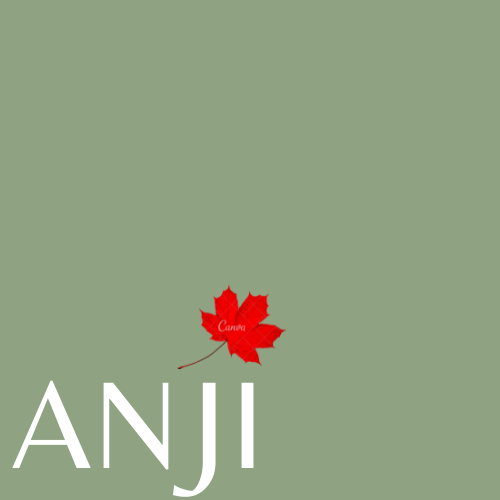 ANJI | 26 Hillpath Crescent, Brampton, ON L6Z 4T9, Canada | Phone: (437) 248-9664