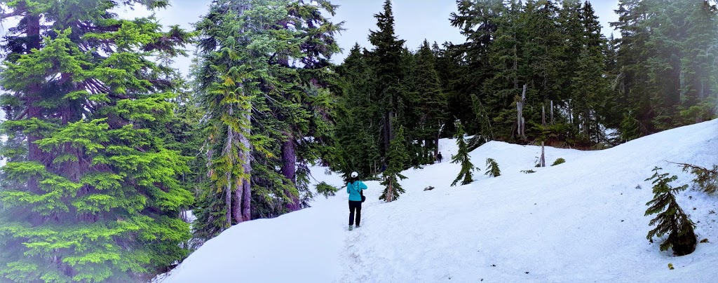 Howe Sound Crest Trail | West Vancouver, BC V0N 1G0, Canada