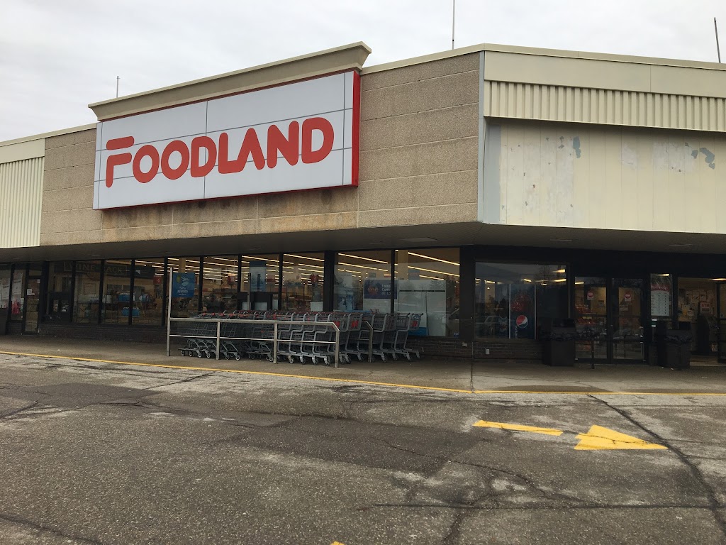 Foodland - Woodstock | 645 Dundas St, Woodstock, ON N4S 1E4, Canada | Phone: (519) 421-3420