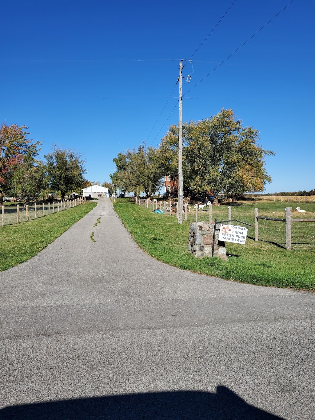 Clover Hill Farm | 3470 Cemetery Rd, Binbrook, ON L0R 1C0, Canada | Phone: (905) 692-9184