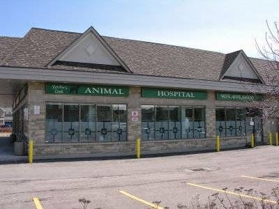 Fletchers Creek Animal Hospital | 10 Earlsbridge Blvd, Brampton, ON L7A 3P1, Canada | Phone: (905) 495-6600