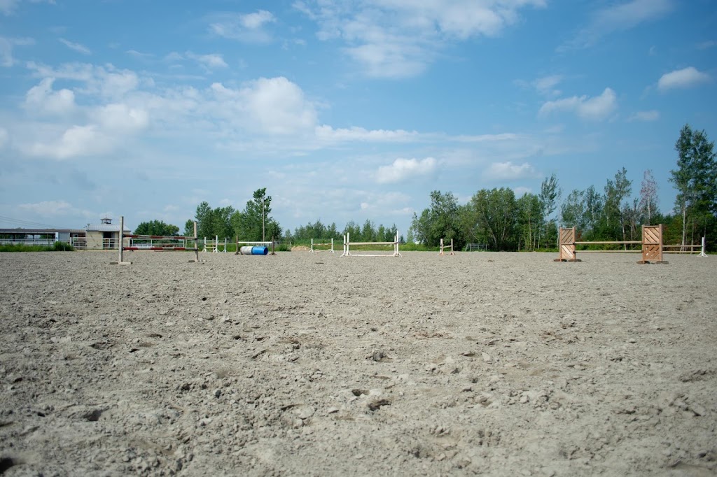 Equestrian Center Drummond S.e.n.c. | 1220, 3e rang-de-Wendover-Sud, Saint-Cyrille-de-Wendover, QC J1Z 1X2, Canada | Phone: (819) 477-0738