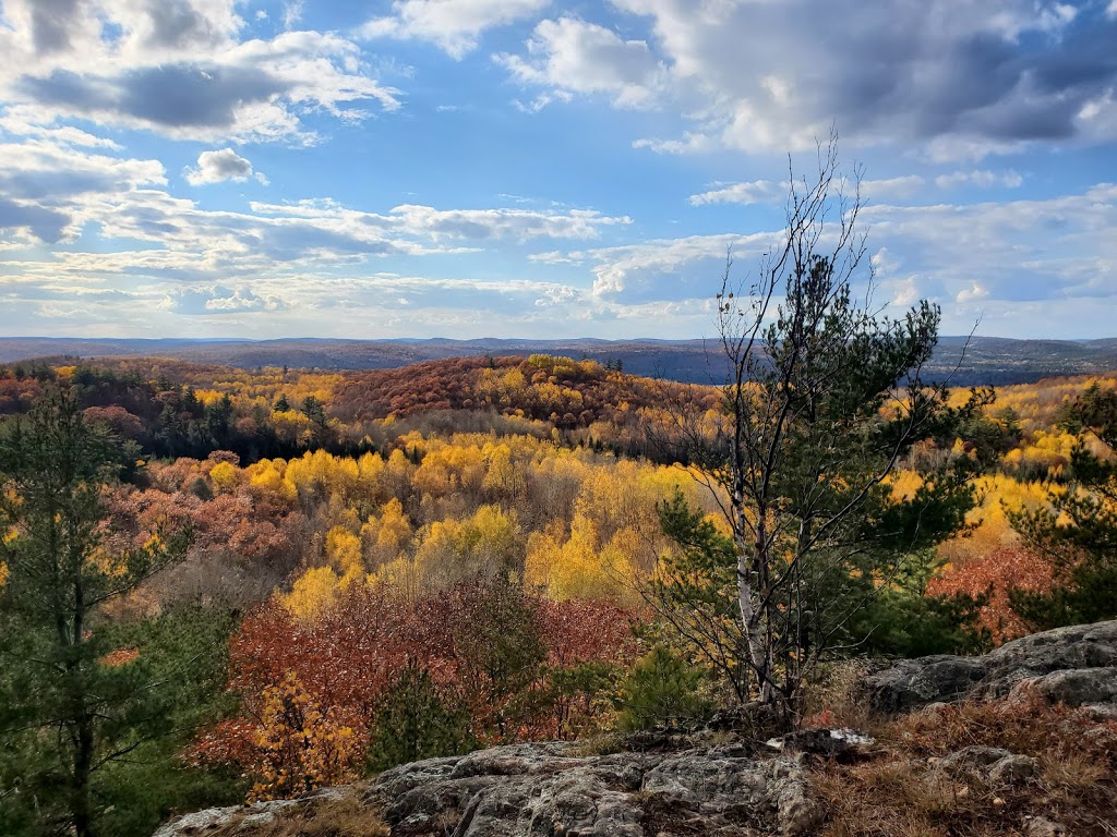 Blueberry Mountain Trail | 502 Hills of Peace Rd, Lanark, ON K0G 1K0, Canada | Phone: (613) 253-2722