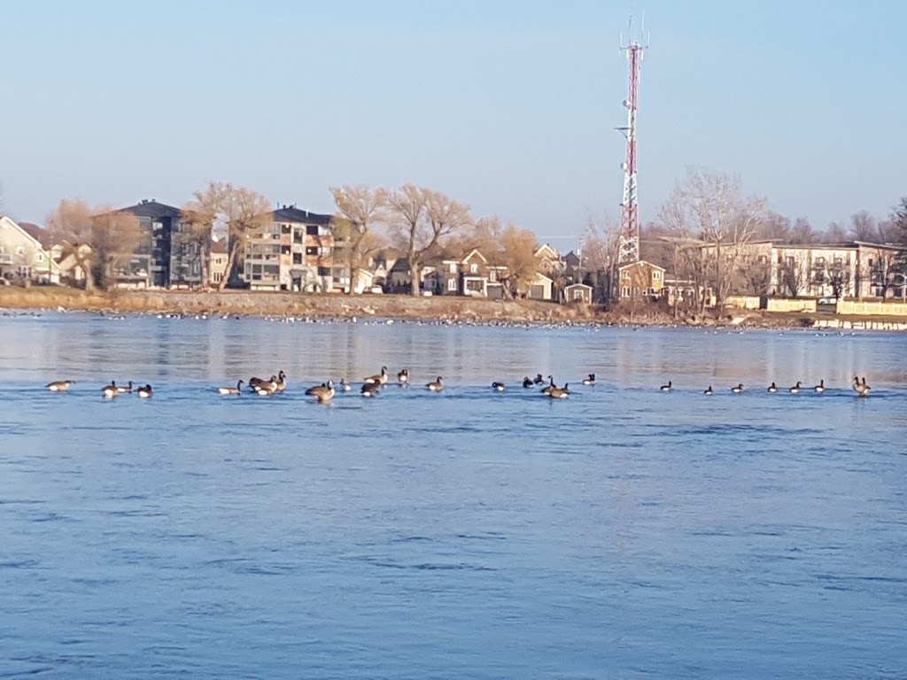 Parc des Soeurs-de-lImmaculée-Conception | Rue Champlain, Saint-Jean-sur-Richelieu, QC J3B 0C6, Canada