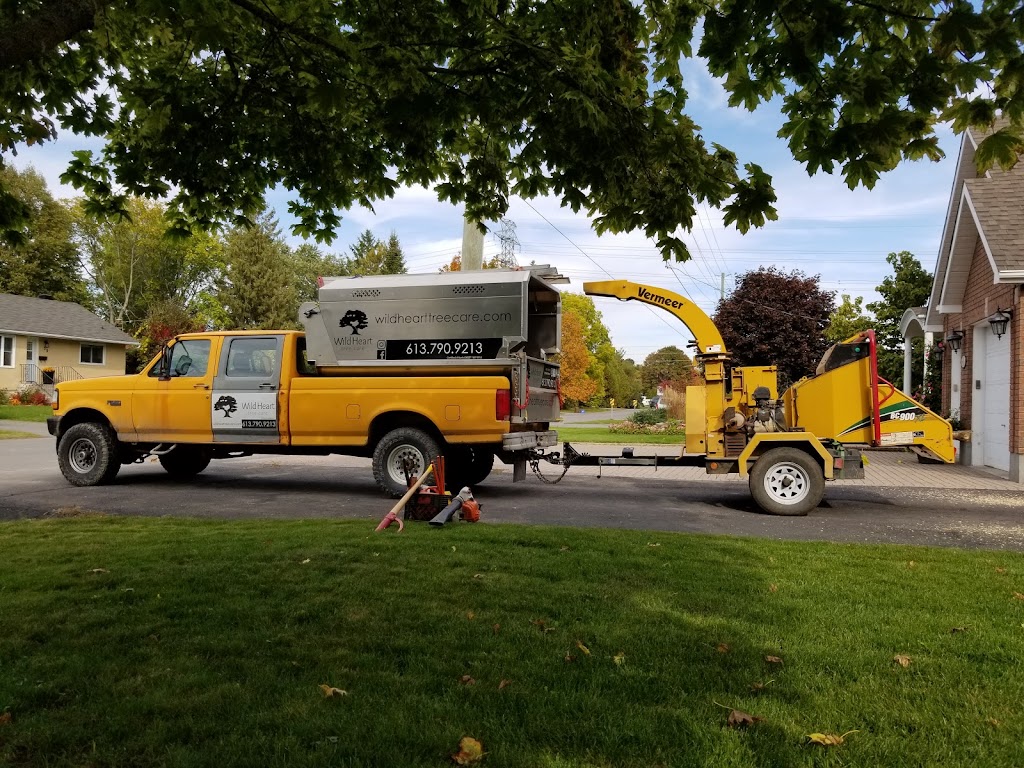 Wild Heart Tree Care | 3917 Milton Rd, Navan, ON K4B 0B1, Canada | Phone: (613) 790-9213