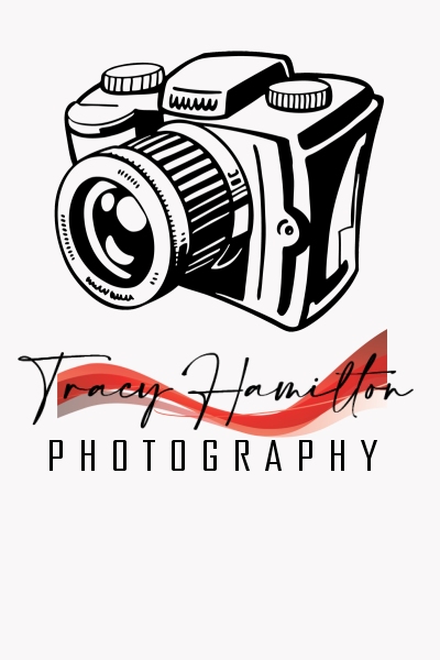 Tracy Hamilton Photography | 1650 Leila Ave #4, Winnipeg, MB R2P 2E5, Canada | Phone: (204) 330-9120