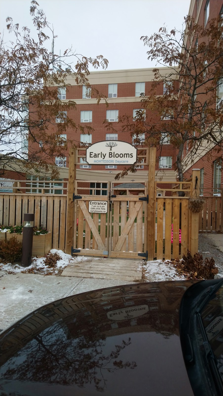 Early Blooms Montessori Daycare school | 2780 Bur Oak Ave, Markham, ON L6B 1C9, Canada | Phone: (289) 818-7656