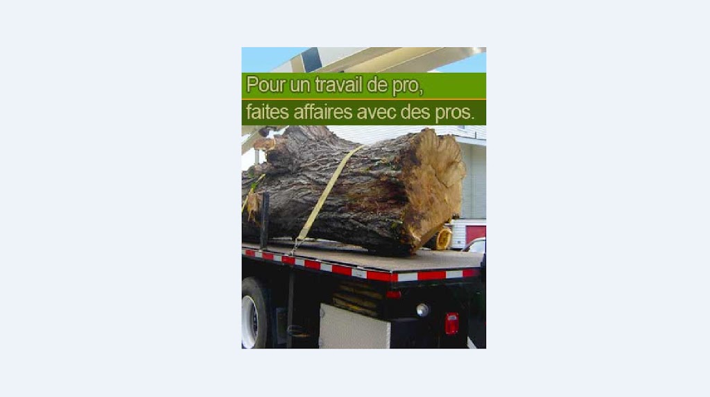 Entretien d arbres | 2797 Rue de St Méthode, Saint-Félicien, QC G8K 3C2, Canada | Phone: (418) 671-1006