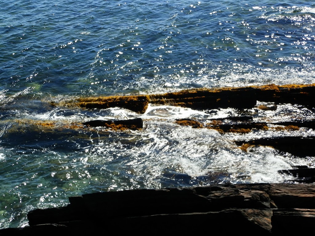 Gaff Point | Gaff Point Trail, Lunenburg, NS B0J 2W0, Canada