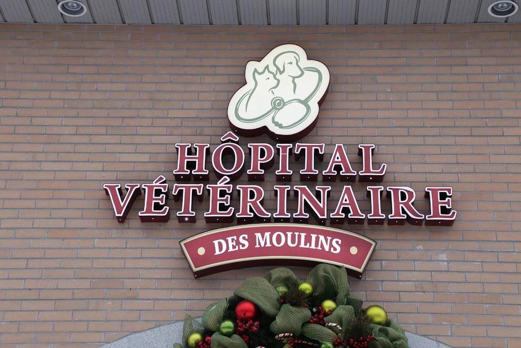 Hôpital Vétérinaire des Moulins - Vet et Nous | 695 Mnt Masson, Mascouche, QC J7K 3G1, Canada | Phone: (450) 966-9411