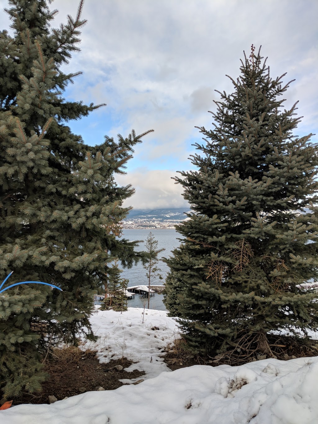 Okanagan Mountain Park | 5902 Lakeshore Rd, Kelowna, BC V1W 4J5, Canada