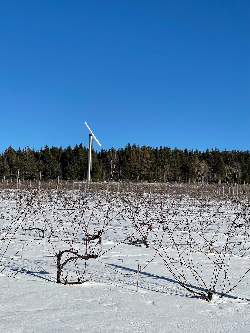 Chinook windmachines Canada | 484 Av. Curry, Hemmingford, QC J0L 1H0, Canada | Phone: (514) 913-3414