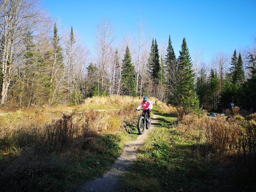 Bruce Peninsula Mountain Bike Adventure Park | 661 Bruce County Rd 9, Wiarton, ON N0H 2T0, Canada | Phone: (800) 268-3838