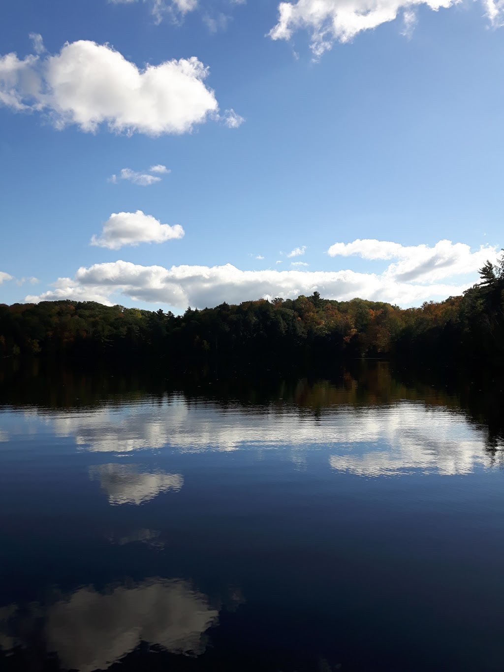 The Bob Rumball Camp of the Deaf | 236 Blackstone Crane Lake Rd, Parry Sound, ON P2A 2W8, Canada | Phone: (705) 378-2898