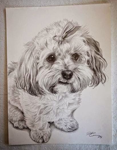 Perfect Pet Portraits | 180 Coronation St, Woodbridge, ON L4L 6M2, Canada | Phone: (416) 882-5598