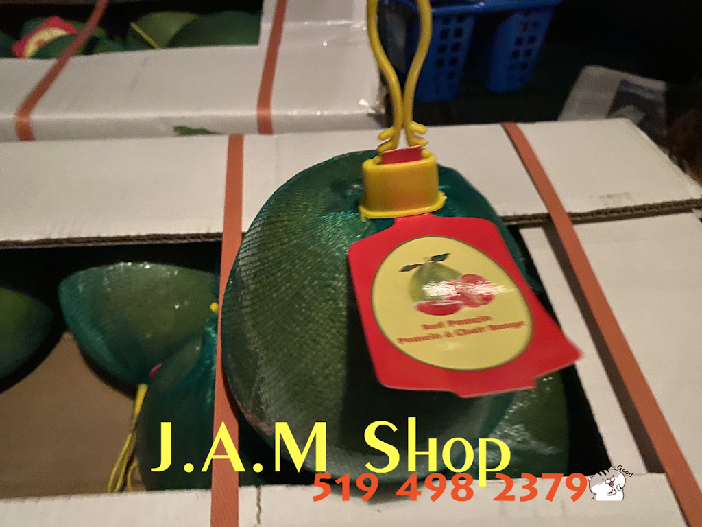 J.A.M Shop | 260 Erb St E, Waterloo, ON N2J 1N5, Canada | Phone: (519) 498-2379