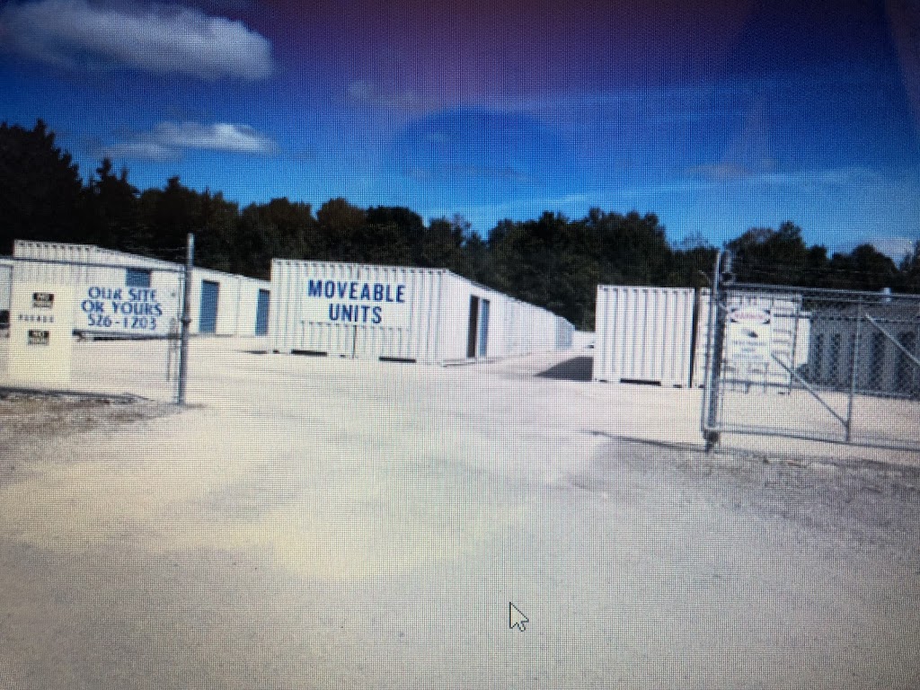 Bluewater Self Storage | 165 County Rd 6 S, Tiny, ON L0L 2J0, Canada | Phone: (705) 526-1203