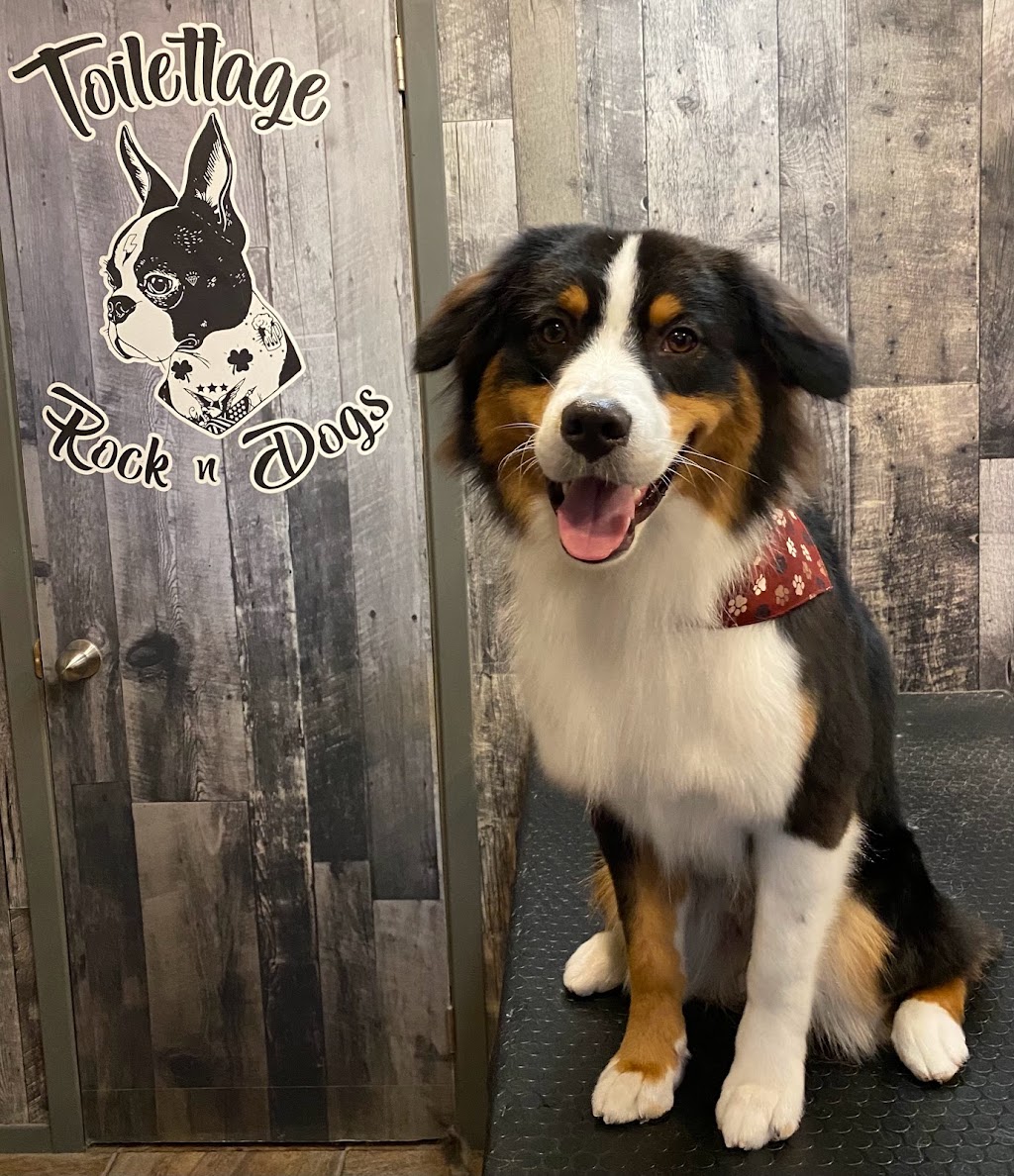 Toilettage Rock n Dogs | 690 QC-153, Saint-Tite, QC G0X 3H0, Canada | Phone: (581) 997-0468