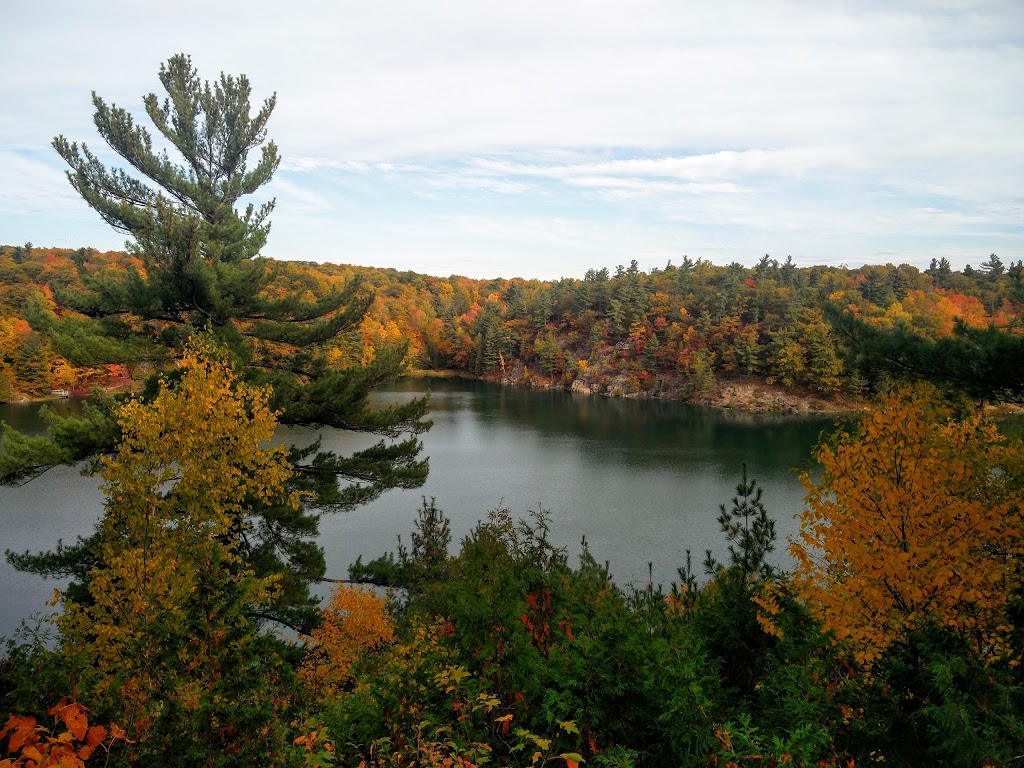 King Mountain Trail | Promenade Champlain, Chelsea, QC J9B 1A3, Canada