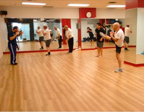 Krav Maga Maleh Canada | Simple. Natural. Effective. | 50 Ashwarren Rd, North York, ON M3J 1Z7, Canada | Phone: (647) 460-4104