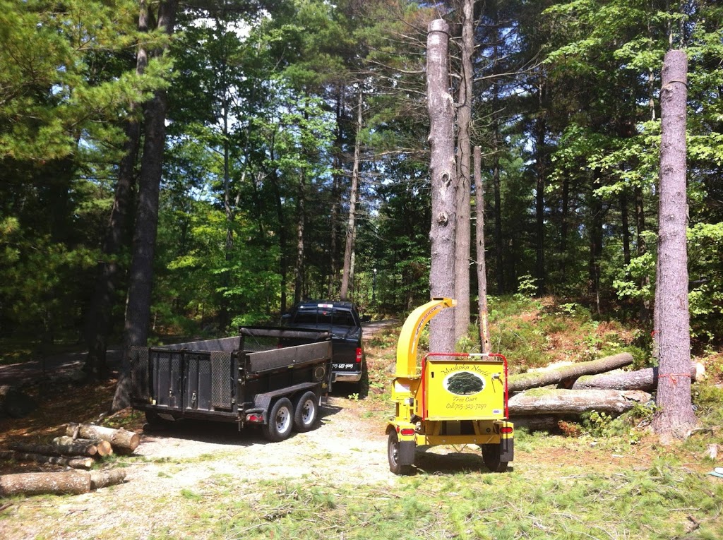 Muskoka North Tree Care | 160 Two Rd, Gravenhurst, ON P1P 1R2, Canada | Phone: (705) 242-2617