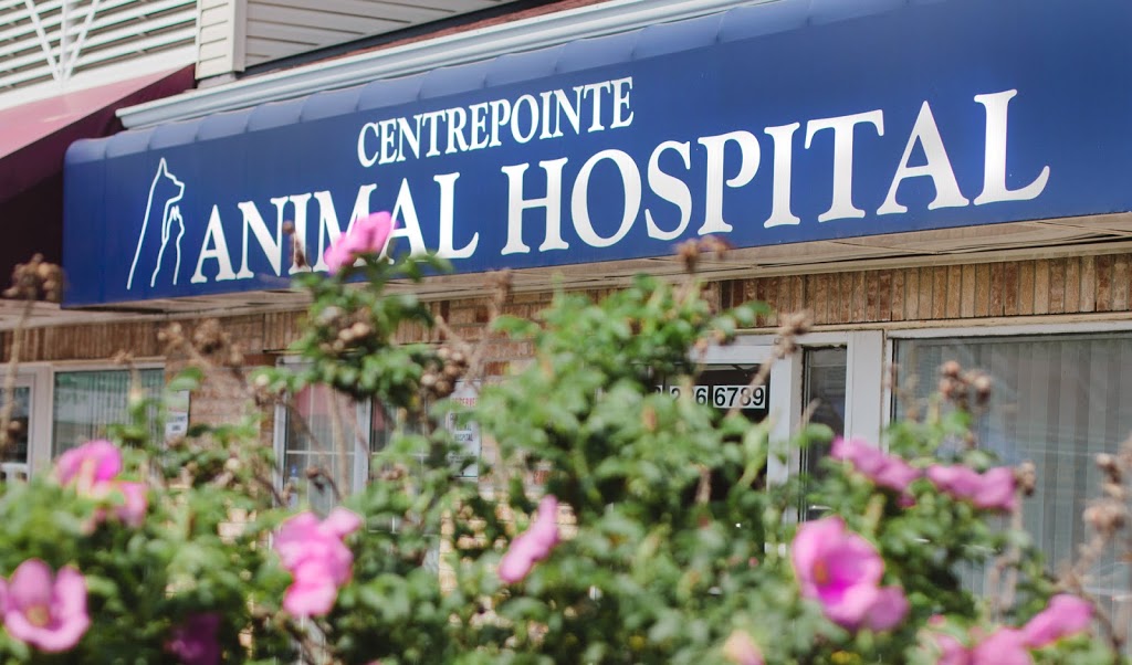 Centrepointe Animal Hospital | 261 Centrepointe Dr, Nepean, ON K2G 6E8, Canada | Phone: (613) 226-6789