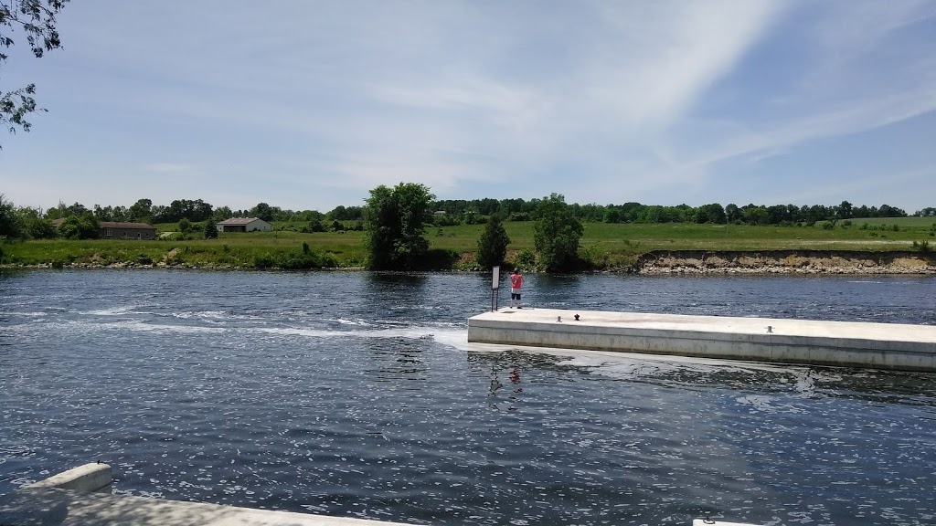 Trent-Severn Waterway | Highway 33, Trenton, ON K8V 5P6, Canada | Phone: (613) 392-8572