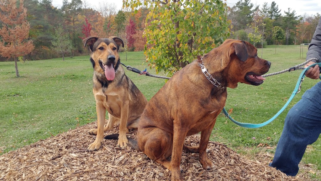 Burgoyne Woods Dog Park | 70 Edgedale Rd, St. Catharines, ON L2R, Canada | Phone: (905) 688-5600