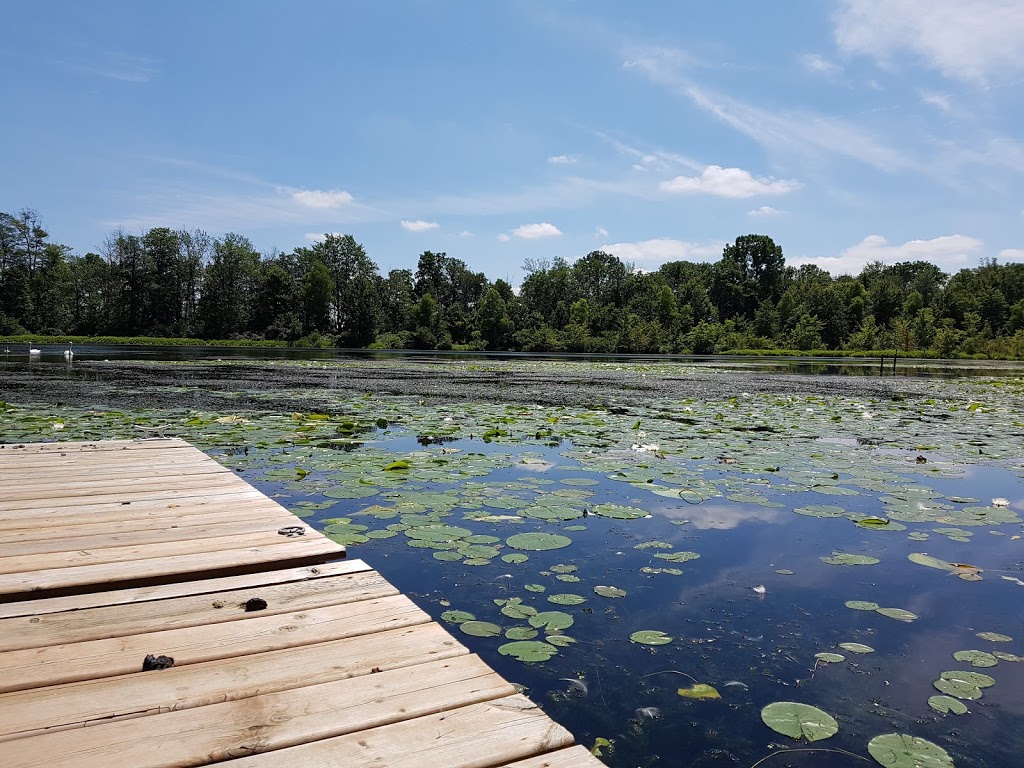 Forest Bed & Breakfast | 2926 Forest Rd, Stratford, ON N5A 6S5, Canada | Phone: (519) 271-4573