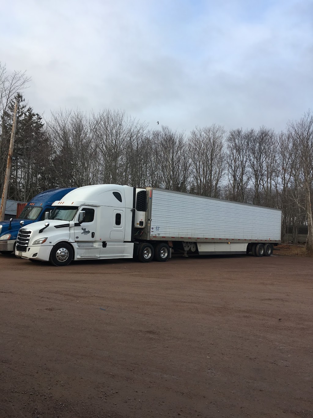 Todd Murphy Transport | 4141 PE-20, Kensington, PE C0B 1M0, Canada | Phone: (902) 432-4113