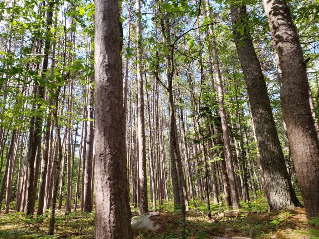 Miller Point Peace Park | 13905 Nova Scotia Trunk 3, Dayspring, NS B4V 5P6, Canada | Phone: (902) 541-1343