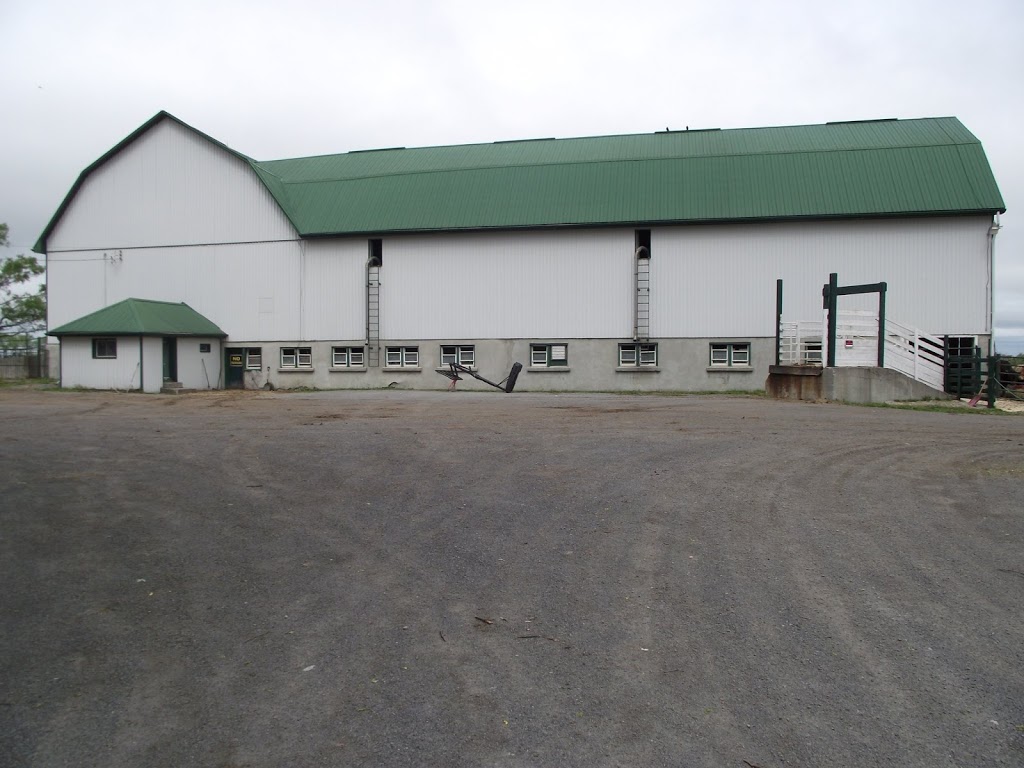 Grof Livestock | 258 Kawartha Lakes County Rd 36, Lindsay, ON K9V 4R4, Canada | Phone: (705) 878-3171