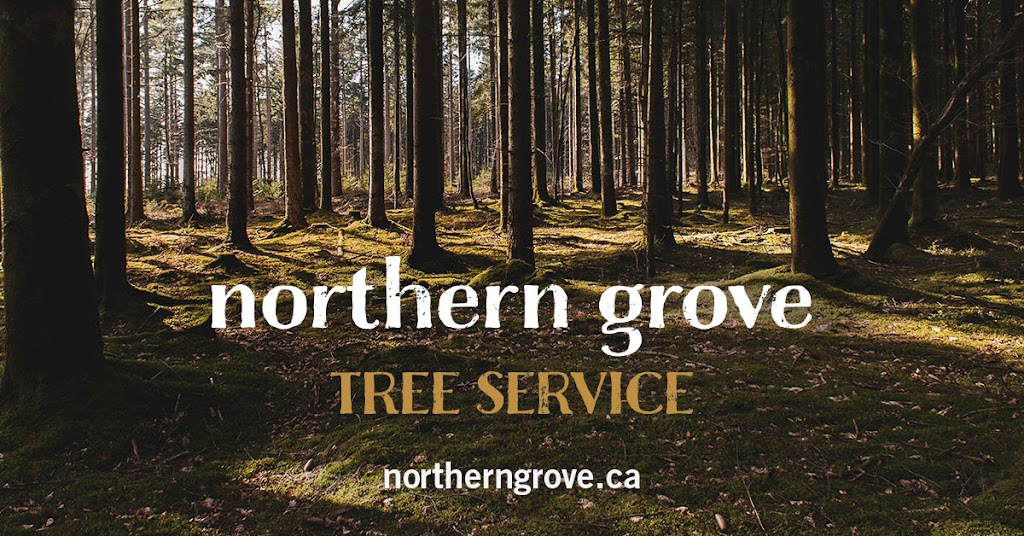 Northern Grove | 71073 Poplar Rd 31East, Cooks Creek, MB R5M 0C8, Canada | Phone: (204) 904-9195